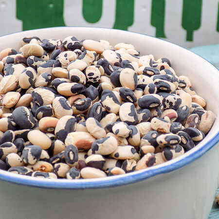 Phenomenal, Cowpea Seeds image number null